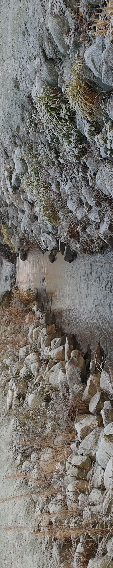 Kuvassa kuurainen puistomaisema jossa avo-oja ja silta sen ylitse.