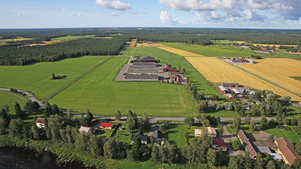 Kuvassa suomalainen maatila eläinsuojineen, rehu- ja viljapeltoa auringonpaisteessa.