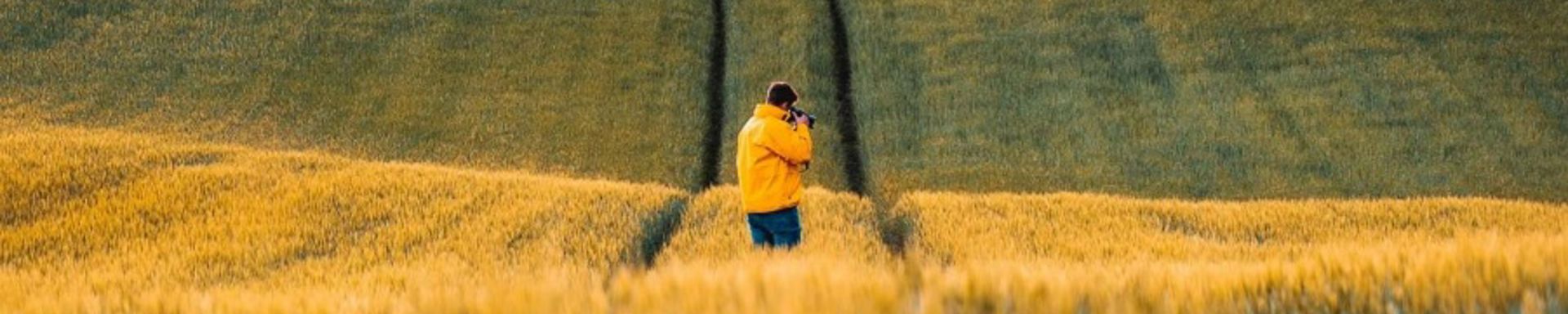 Mies keskellä viljapeltoa.