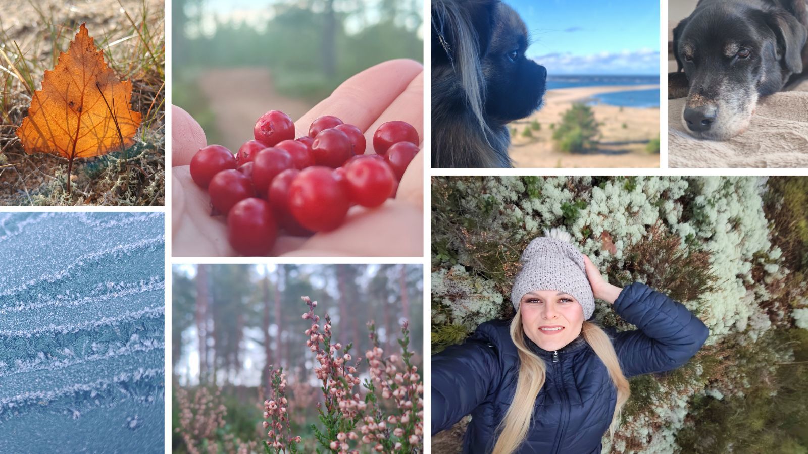 Kuvakollaasi Kalajoen luonnosta.