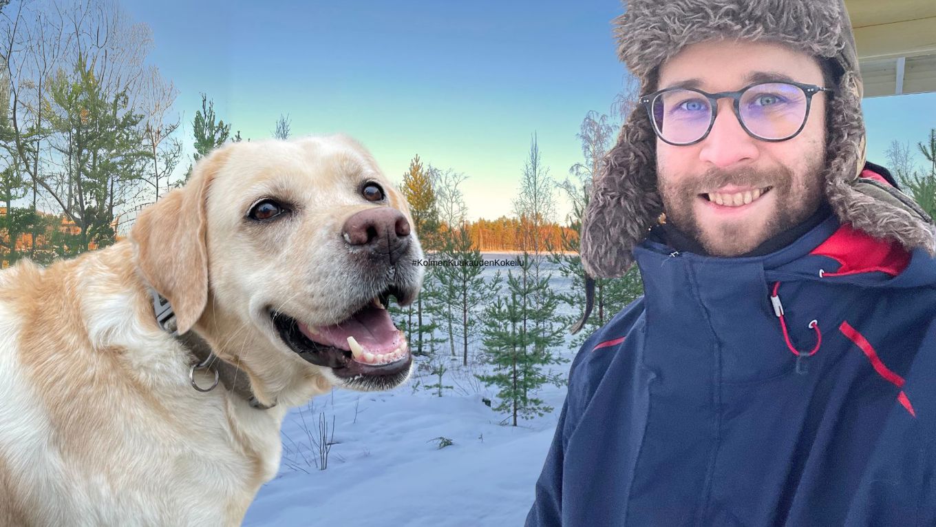 Labradorinnoutaja ja mies talvisessa maisemassa. Käsitelty kuva.