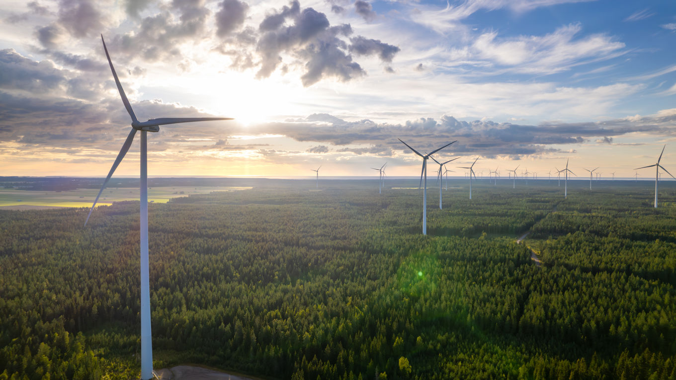 Useita tuulivoimaloita aurinkoisessa maisemassa