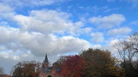 landscape of water and tree and old house